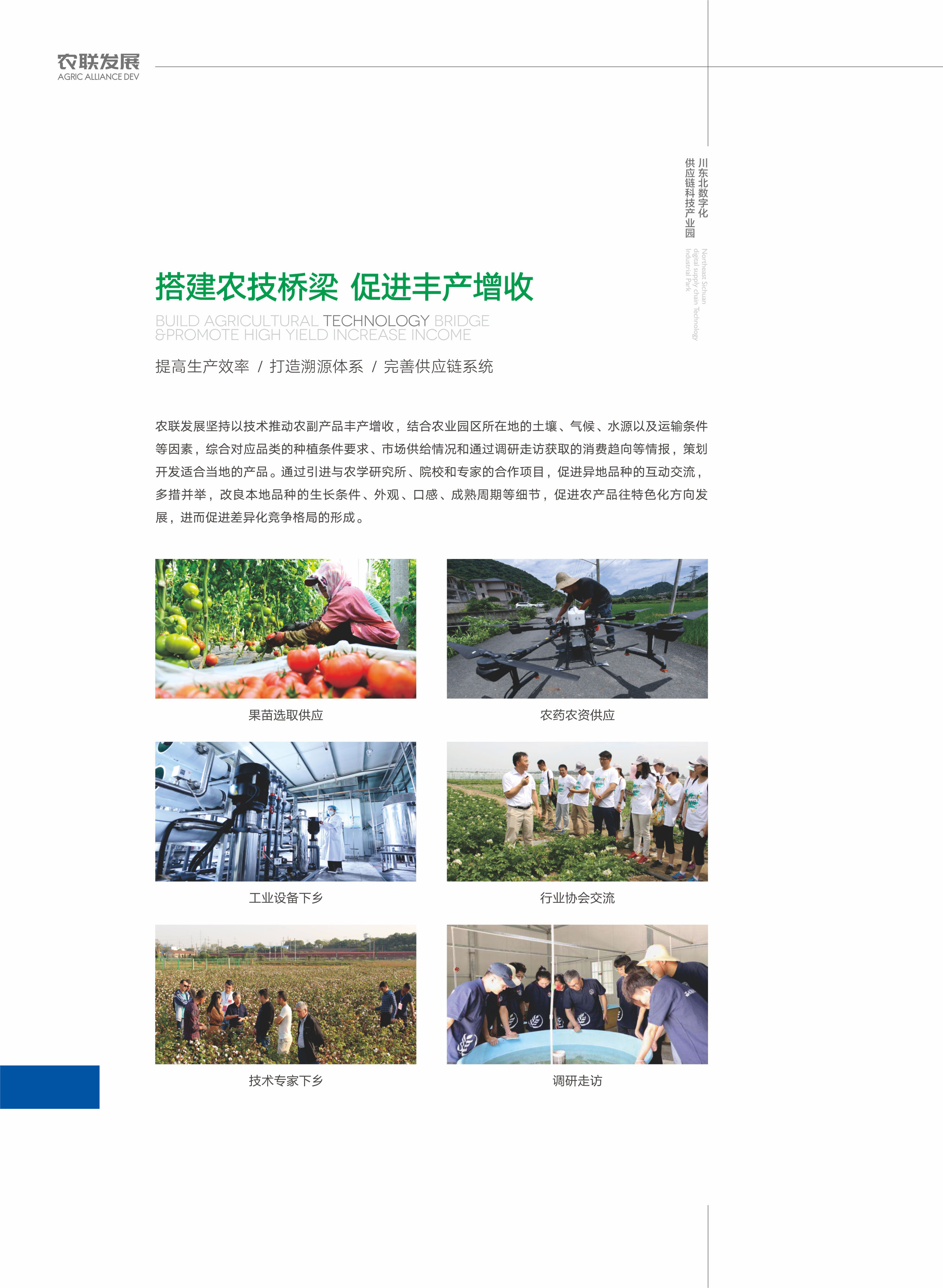公司详情图片预览