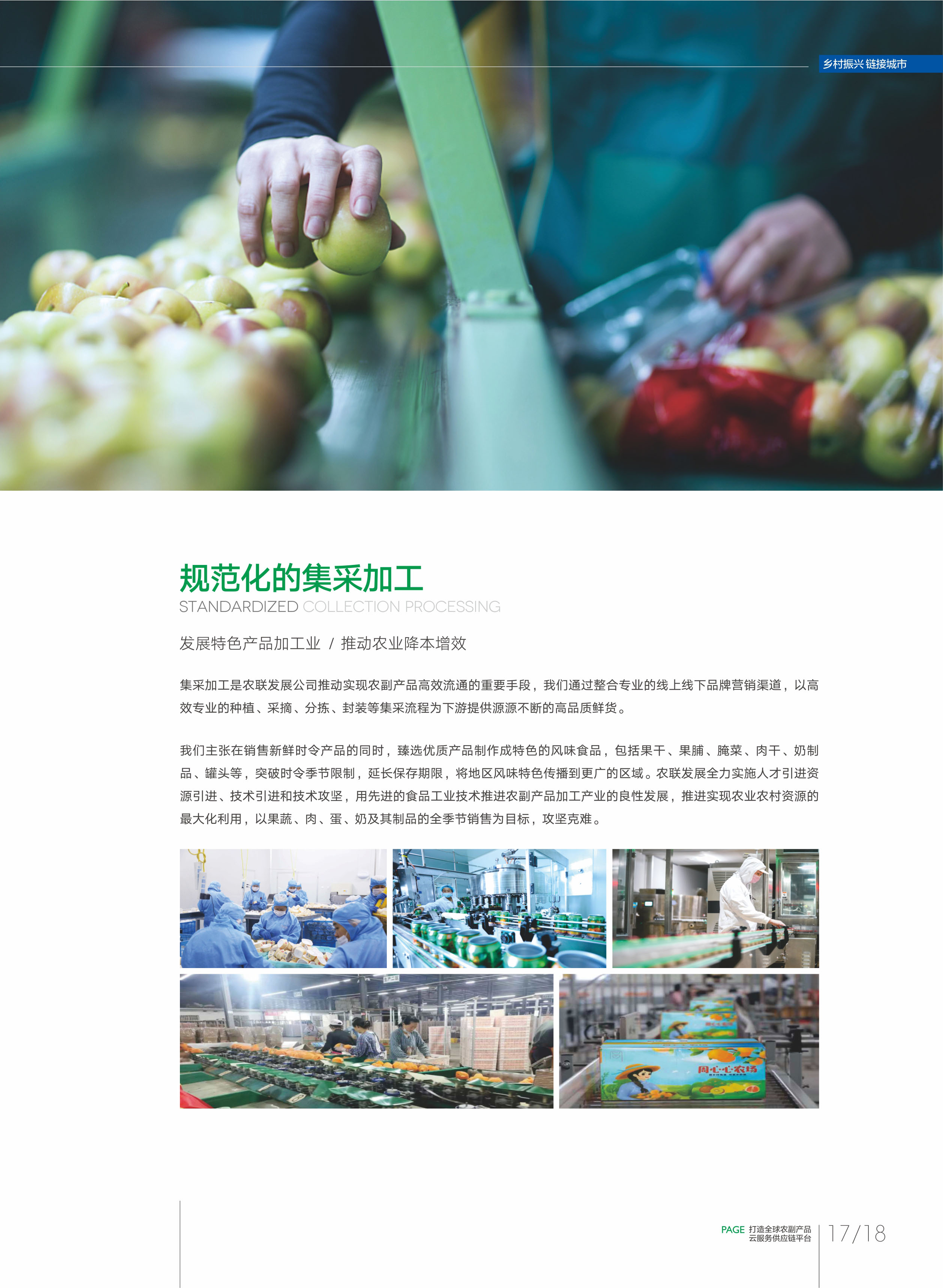 公司详情图片预览