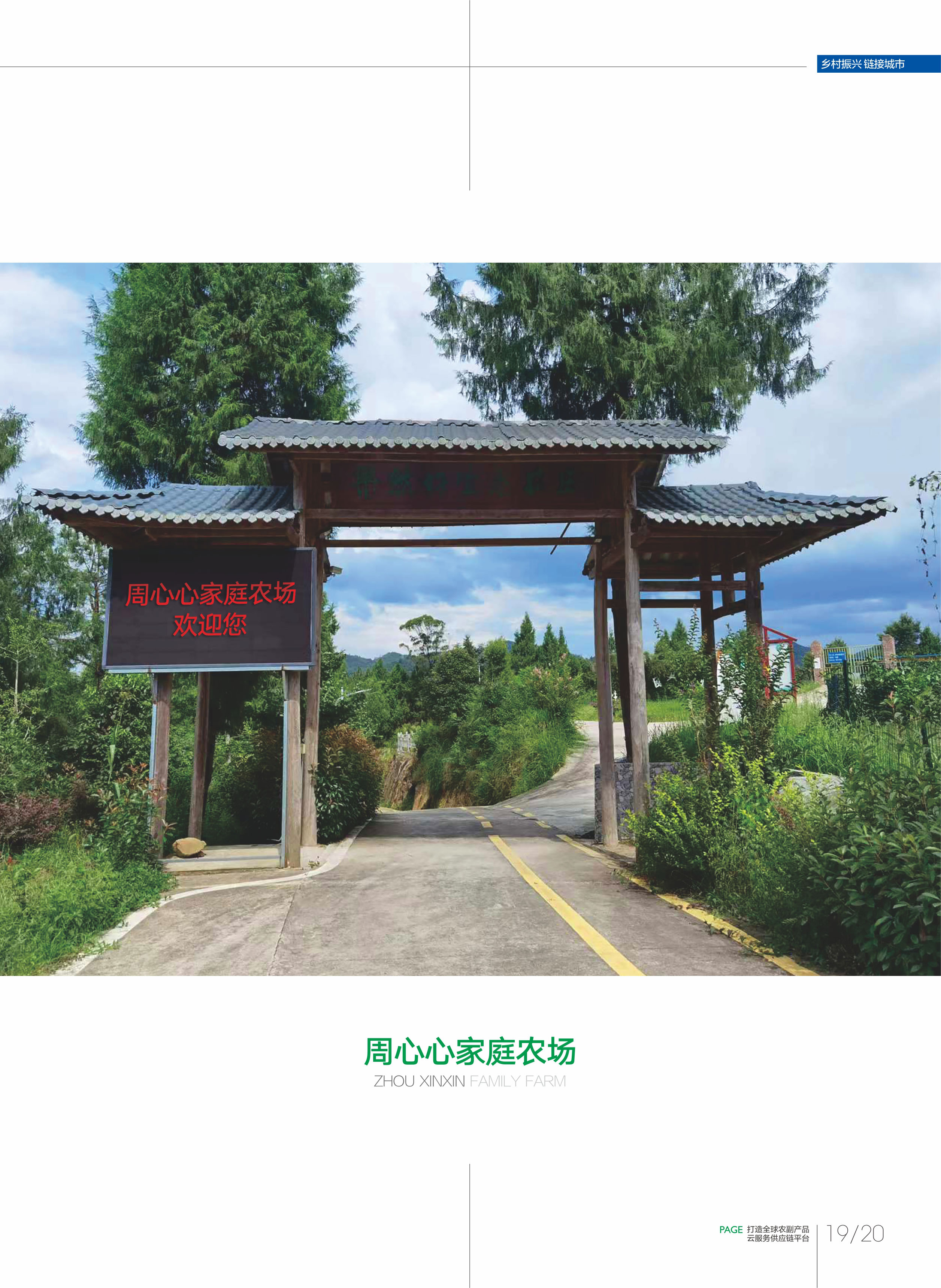 公司详情图片预览