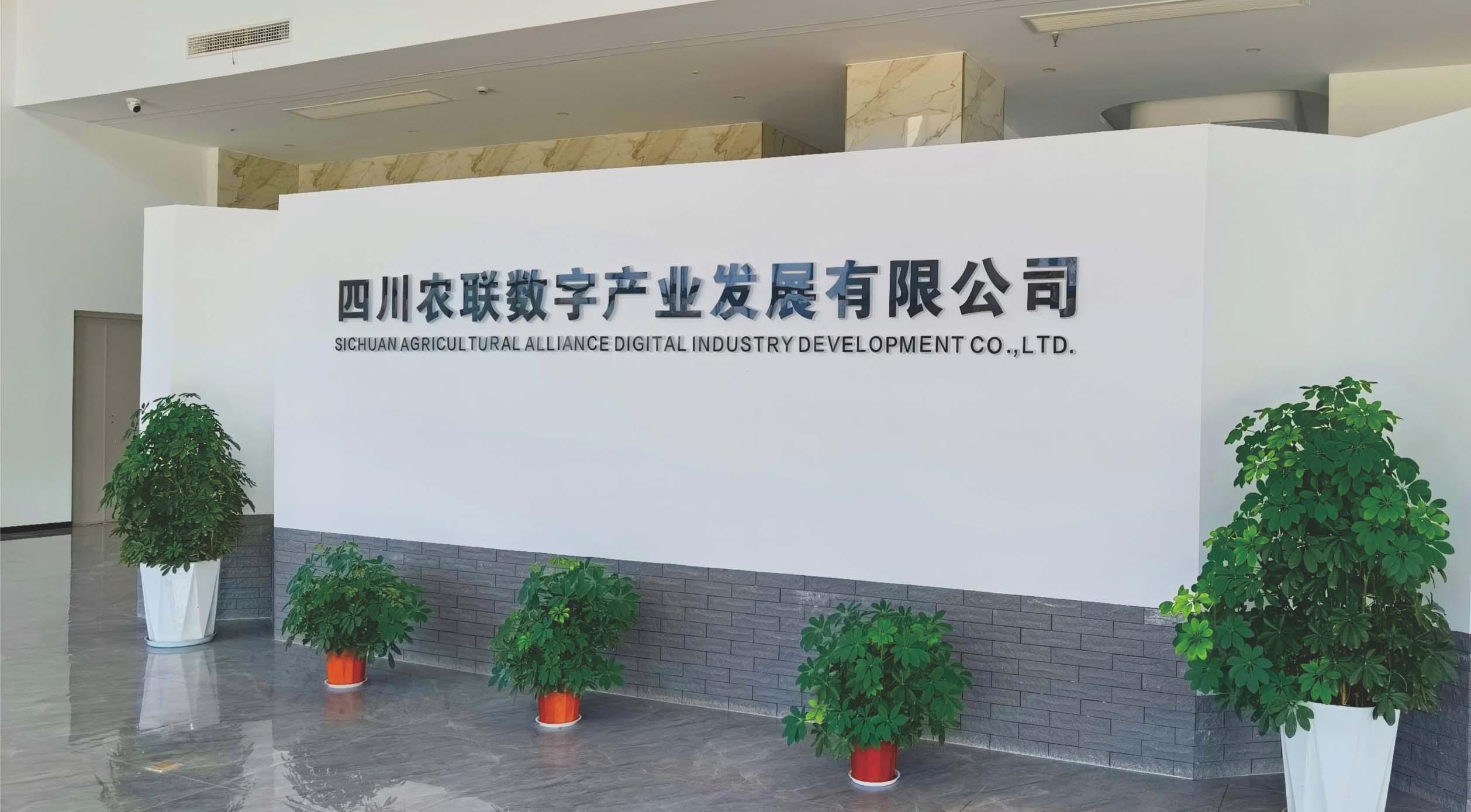 封面预览